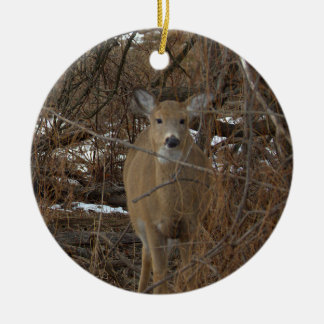 Deer Photo Ornament 