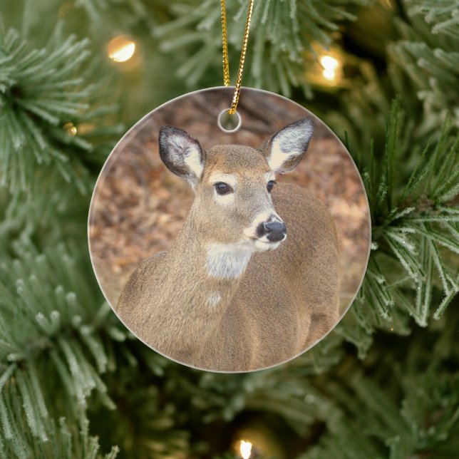 Deer Photo Ornament  (Baum)