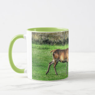 Deer Stag Burley, Hampshire, England Tasse