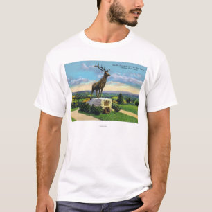 Deerfield River Valley auf Mohikaner-Spur T-Shirt
