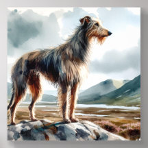 Deerhound