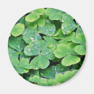 Deerpark Ireland Clover Tau-Tropfen Magnet