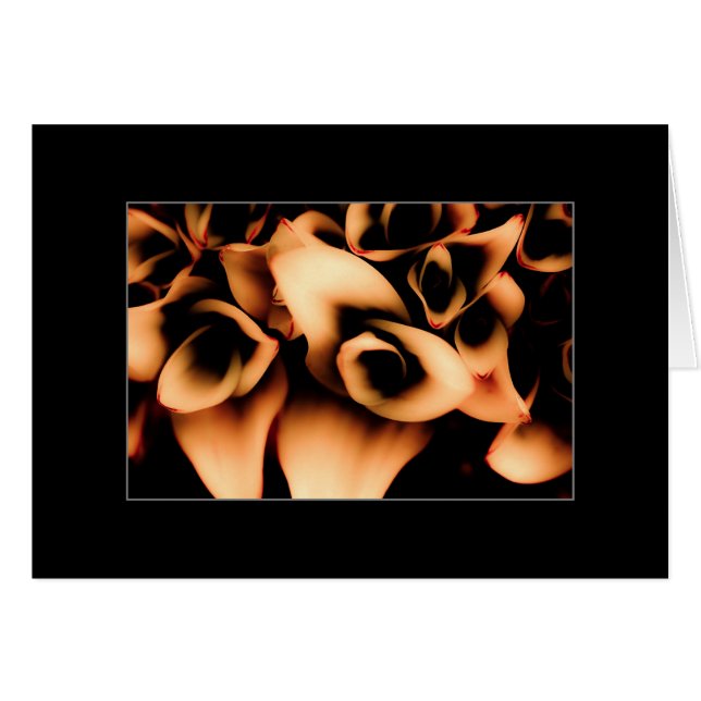 Défaites d'automne (Devant horizontal)