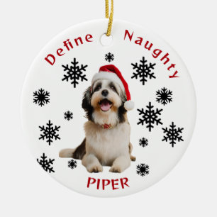 Définir Naughty Havanese Chien Santa Hat Ornement