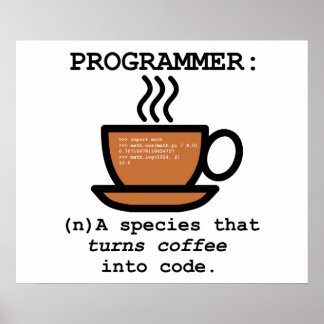 Définition d'un programmeur informatique - Poster