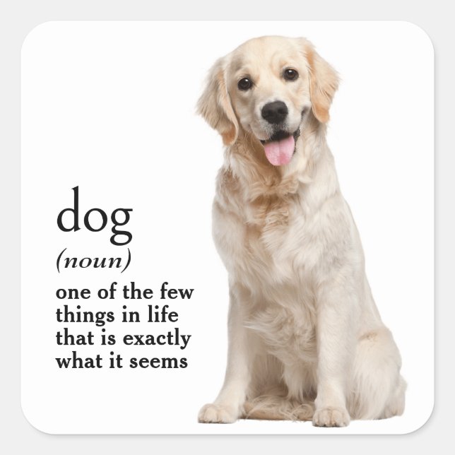Definition eines Hundes Quadratischer Aufkleber (Vorderseite)