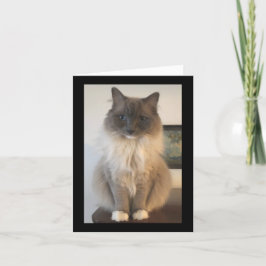 Definition von CAT Karte