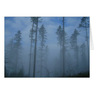 Défricher le brouillard