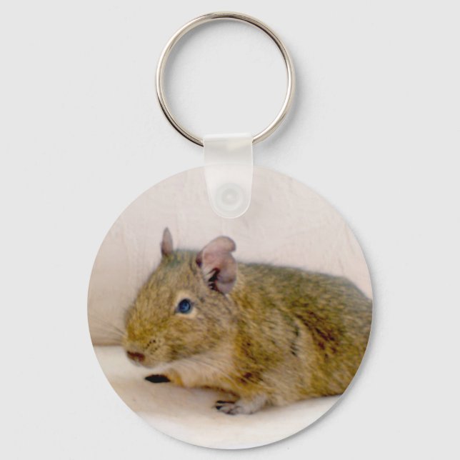 Degu Keychain Schlüsselanhänger (Vorderseite)