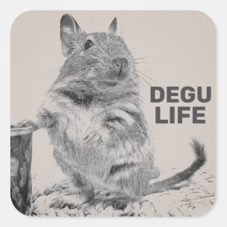 DEGU LIFE QUADRATISCHER AUFKLEBER