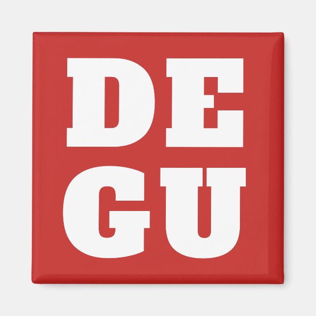 ⊿DEGU⊿ MAGNET (Vorne)