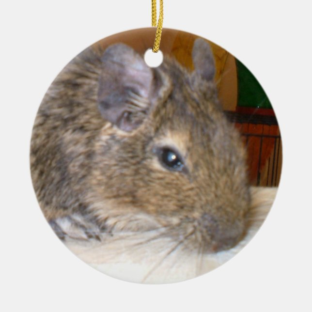 Degu Relaxen I Liebe Degus Ornament (Vorne)