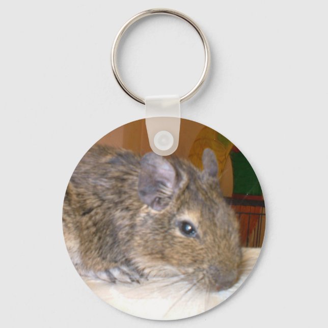 Degu Relaxing Keychain Schlüsselanhänger (Vorderseite)