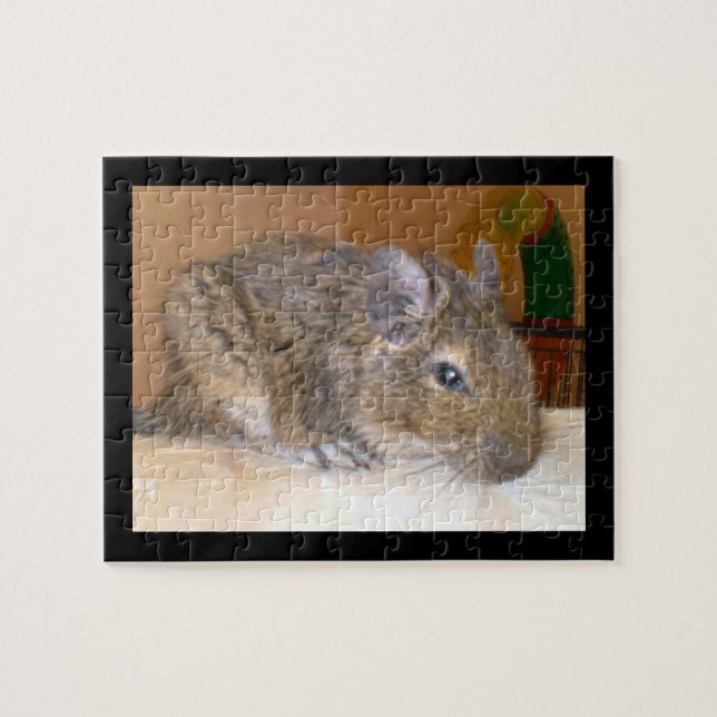 Degu Relaxpuzzle (Horizontal)