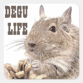► DEGU ►   Rodents Quadratischer Aufkleber
