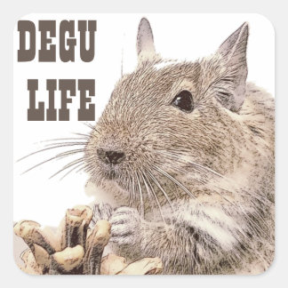 ► DEGU ► Rodents Quadratischer Aufkleber