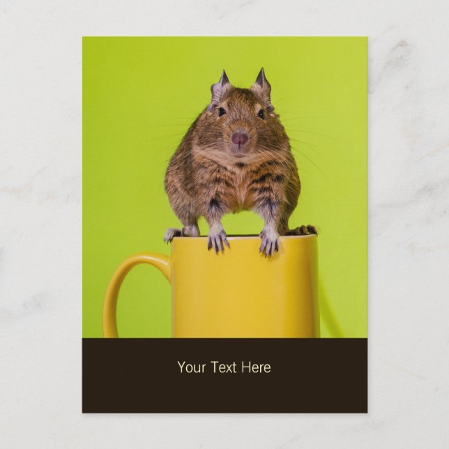 Degu sitzt auf einer Tasse Postkarte (Vorderseite)