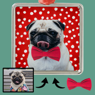 Dein Foto mit digitalen Accessoires Hut Fliege usw Ornament Aus Metall
