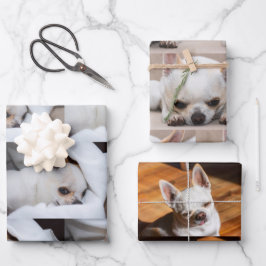 Dein Haushund hat einen eigenen 3-Foto-Chihuahua-M Geschenkpapier Set