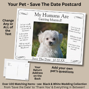 Dein Haustier-Foto Save The Date Schwarz Weiß Unen Postkarte
