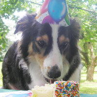 "Dein Kuchen haben und es auch essen!"
