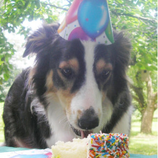"Dein Kuchen haben und es auch essen!" Feiertagskarte