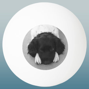Dein Lieblingsfoto-Andenken von deinem Haustier Tischtennisball