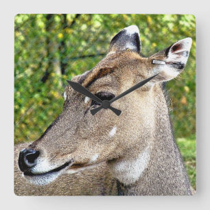 DEIN QUADRATISCHE WANDUHR