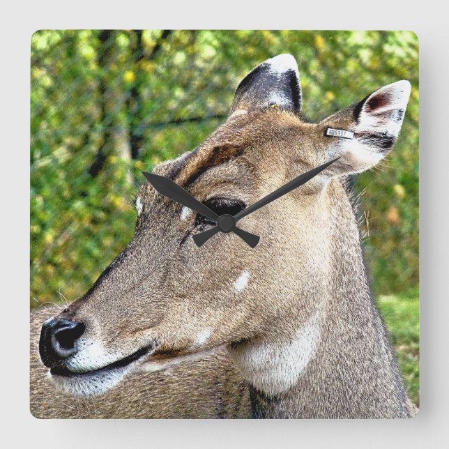 DEIN QUADRATISCHE WANDUHR (Vorderseite)