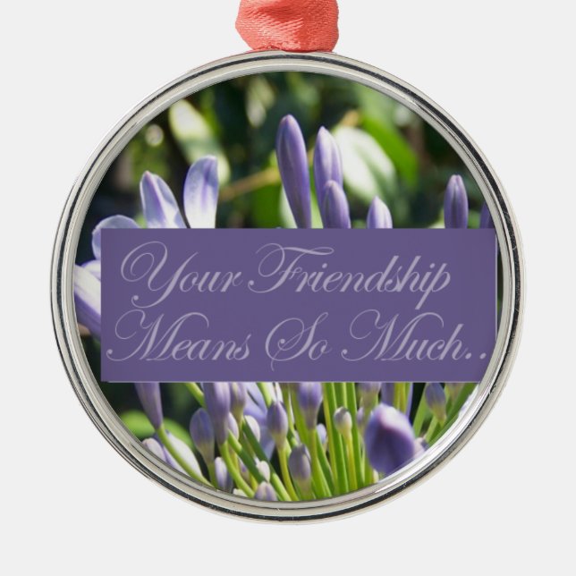 Deine Freundschaft bedeutet so viel Ornament Aus Metall (Vorne)