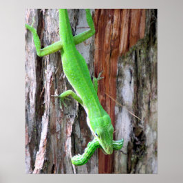 Déjeuner Quelqu'Un ? Poster de l'oignon vert (Liza