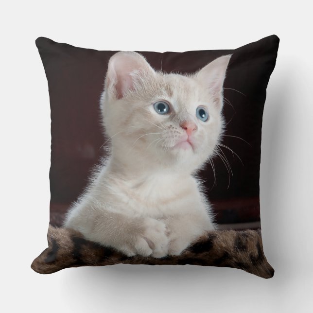 Dekokissen 50,1 cm x 05,1 cm (Vorderseite)