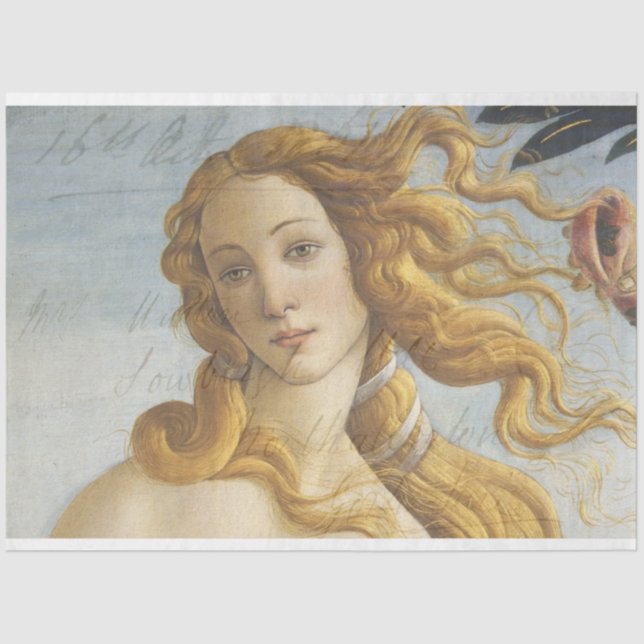 Dekopulver für Venusmöbel Seidenpapier (Vorderseite)