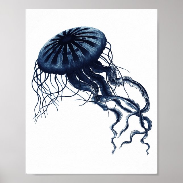 Dekor der Küste von Navy Blue Jellyfish Poster (Vorne)