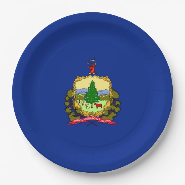 Dekor für die Flaggen des Vermont-Zustands Pappteller (Vorderseite)