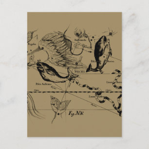 Dekor von Pisces Constellation Hevelius 1690 Postkarte