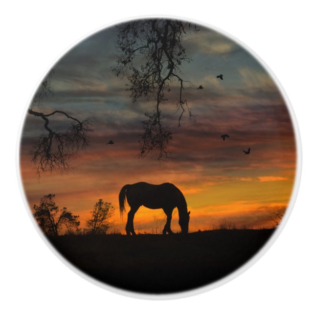 Dekoration der Knobs und Pulls im Südwesten Keramikknauf (Vorderseite)