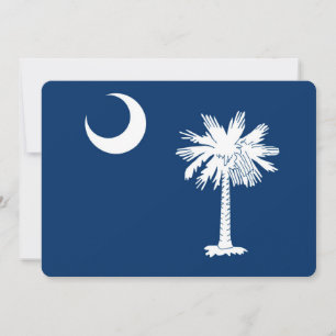 Dekoration der Staatsflagge von South Carolina
