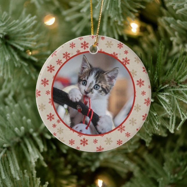 Dekoration des Weihnachtsmannes Foto (Baum)