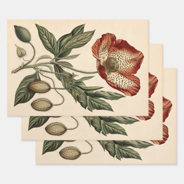 Dekoration Vintager Mohnblumen Geschenkpapier Set (Set)