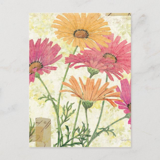 Dekorative Daisies Postkarte (Vorderseite)