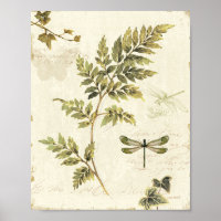 Dekorative Ferns und eine Libelle