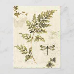 Dekorative Ferns und eine Libelle Postkarte
