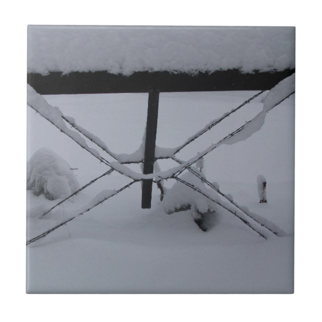 dekorative Fliese (Vorderseite)