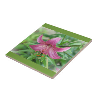 Dekorative Fliese Pink Lily