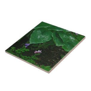Dekorative Keramik Tile/Hostas mit Raindrops Fliese