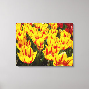 Dekorative Kunstdrucke Gelbe Tulip Blume Rot Leinwanddruck