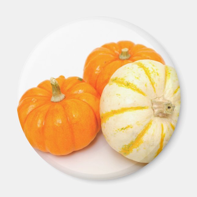 Dekorative Pumpkins Magnet (Vorne)