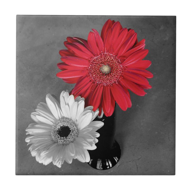 Dekorative Rot-Splash Gerber Daisy auf Monochrom Fliese (Vorderseite)