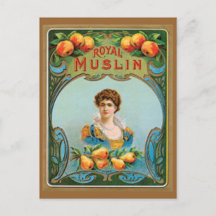 Dekorative viktorianische Royal Muslin Kunst Postkarte